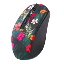 Muis TNB Amazonia